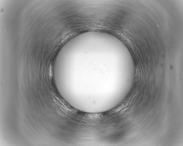 X0000088160479200705150930