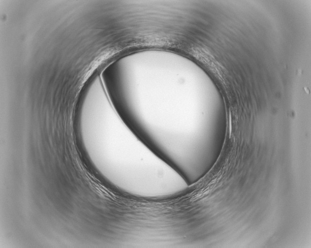 X0000088160483200705150929