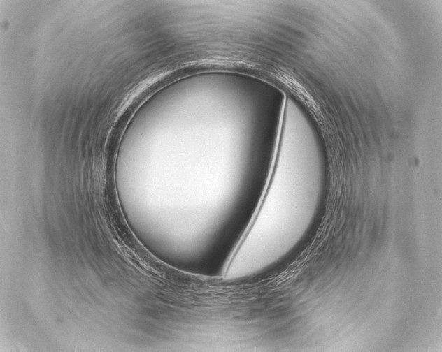 X0000088160484200705150929