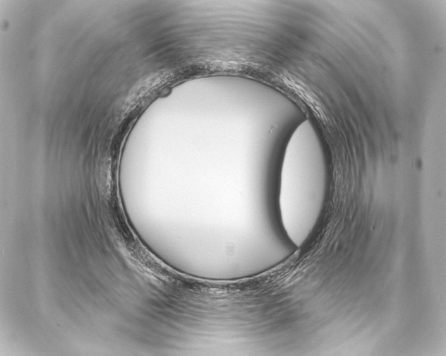 X0000088160494200705150929