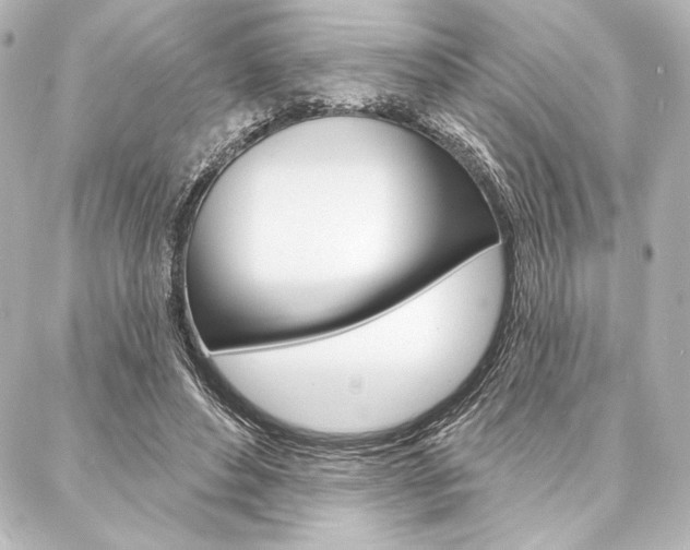 X0000088160496200705150929
