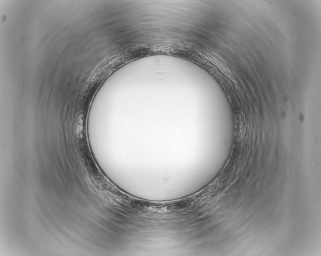 X0000088160502200705150929