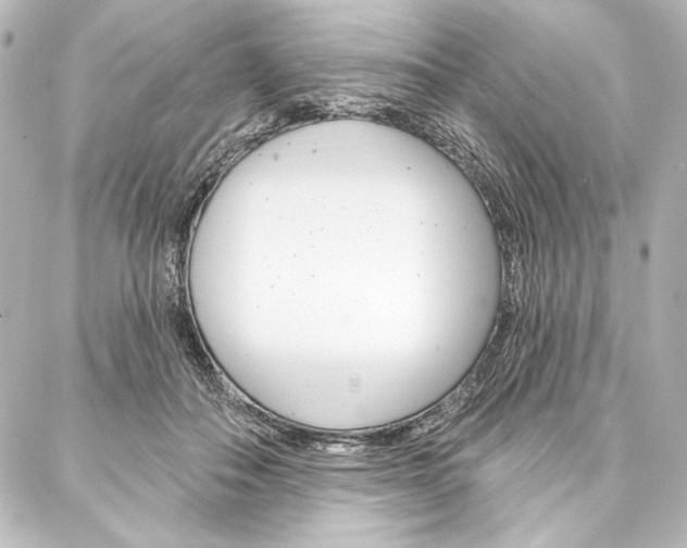 X0000088160506200705150929