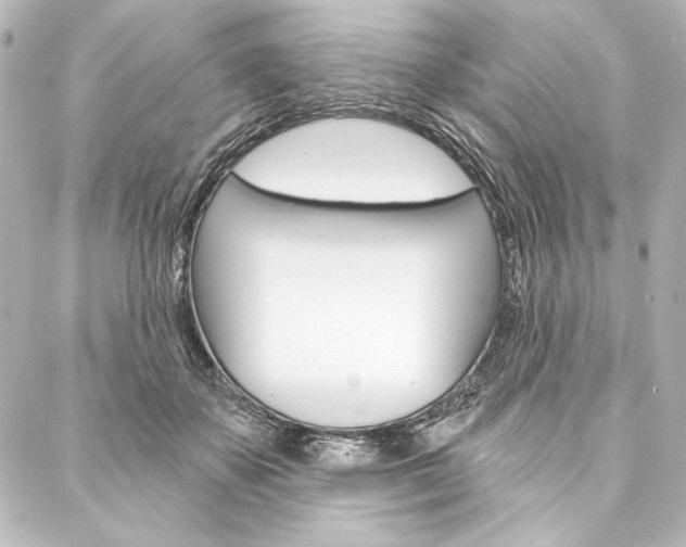 X0000088160507200705150929