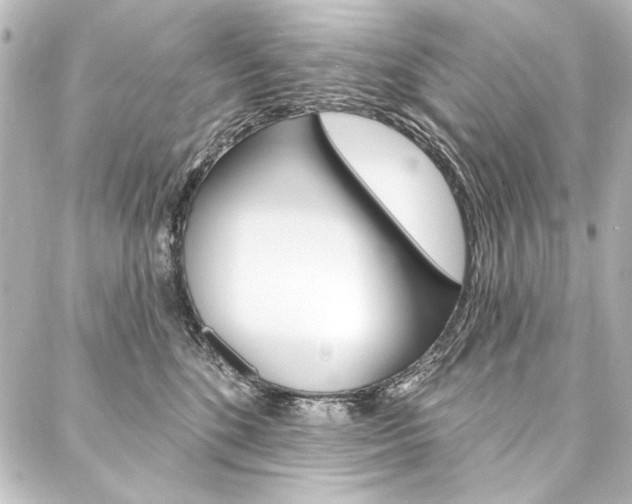 X0000088160520200705150929