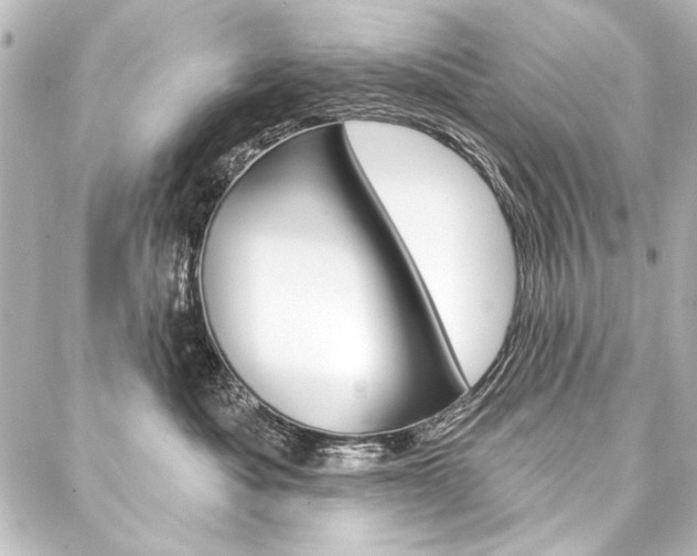 X0000088160525200705150929