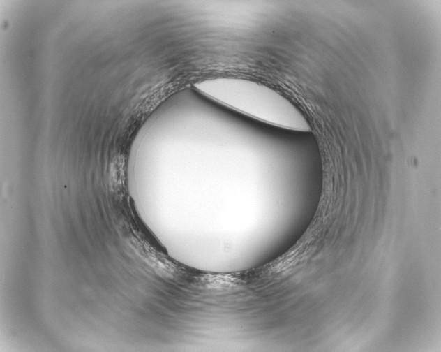 X0000088160528200705150929