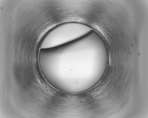X0000088160531200705150928