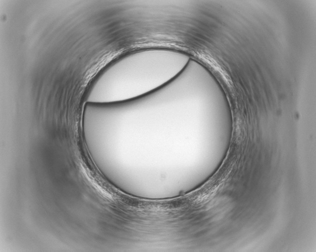 X0000088160533200705150928