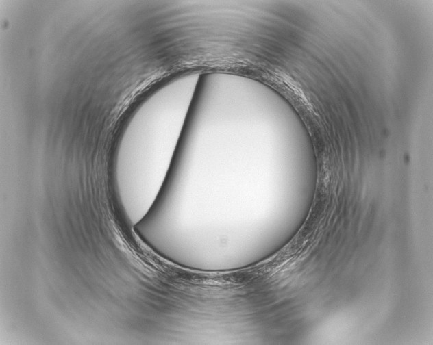 X0000088160542200705150928