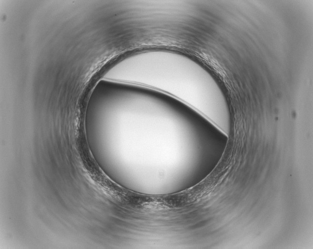 X0000088160544200705150928