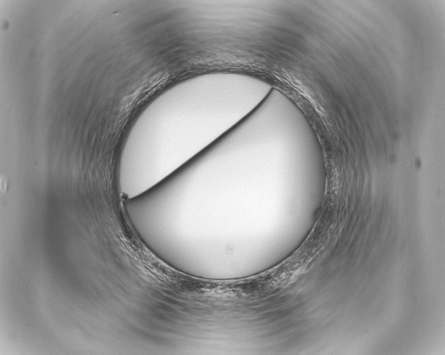 X0000088160545200705150928