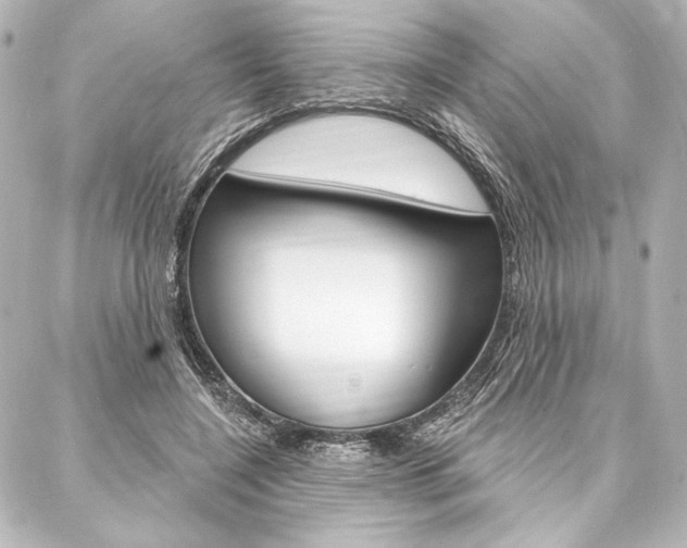 X0000088160548200705150928
