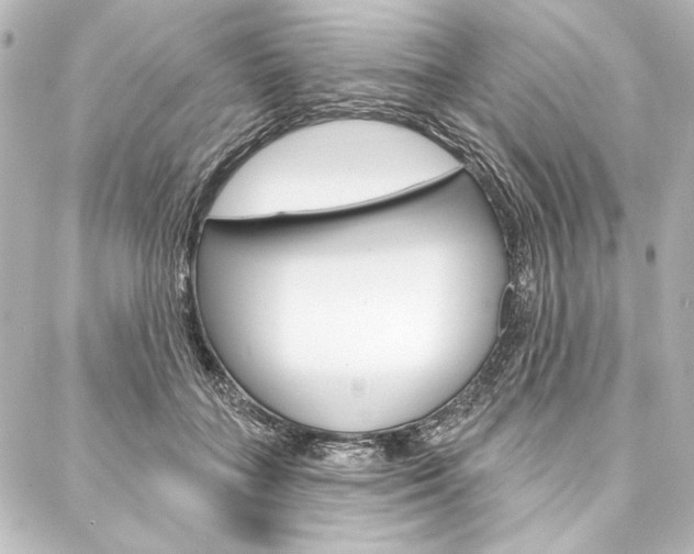 X0000088160555200705150928