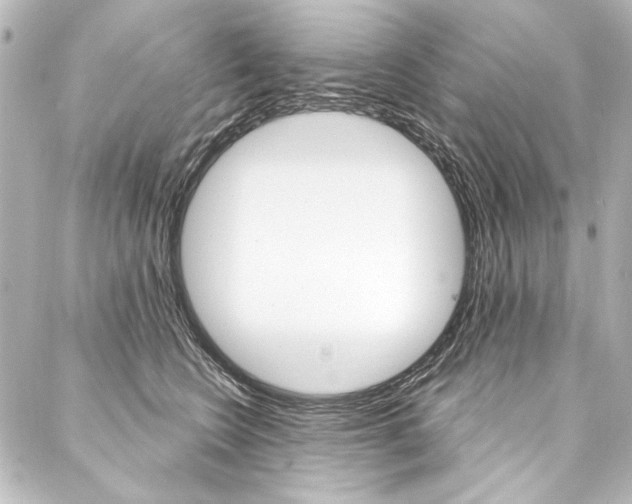 X0000088160566200705150928