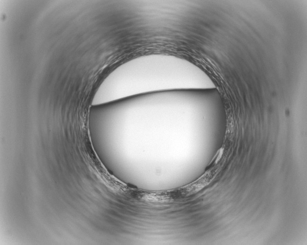 X0000088160568200705150928