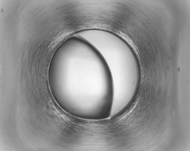 X0000088160577200705150928