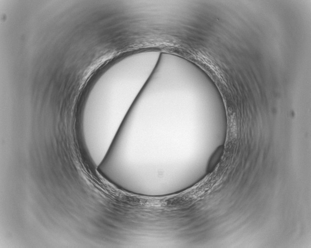 X0000088160587200705150928