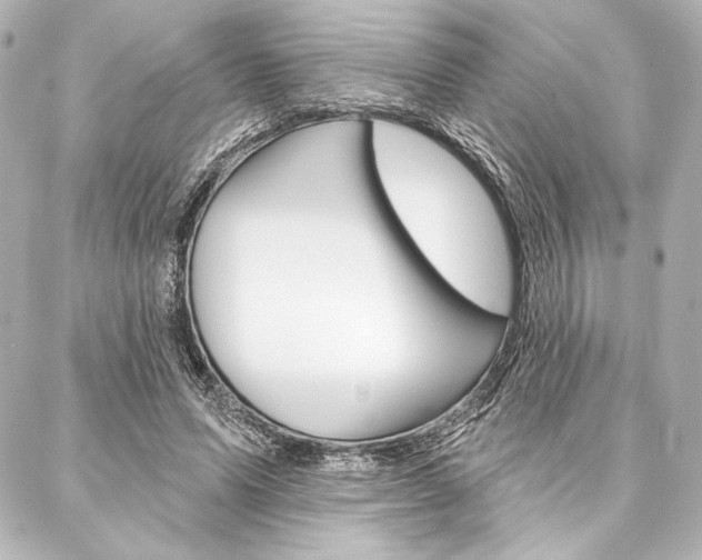 X0000088160591200705150928