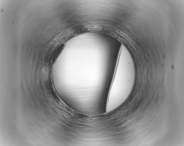 X0000088160604200705150927