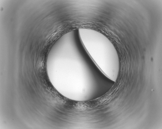 X0000088160608200705150927