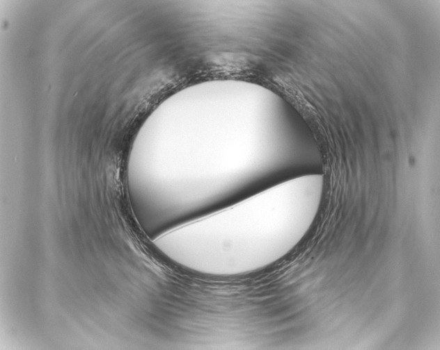 X0000088160615200705150927