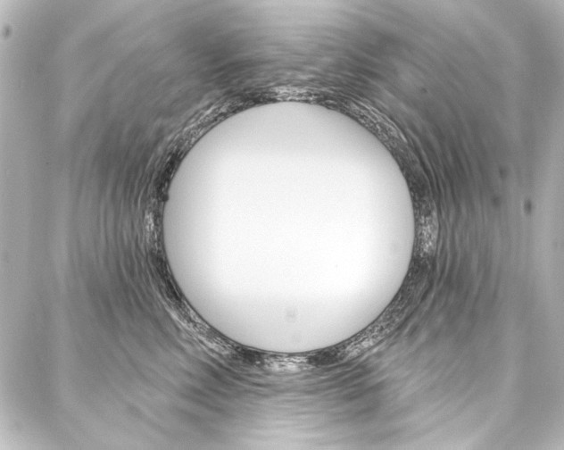 X0000088160618200705150927