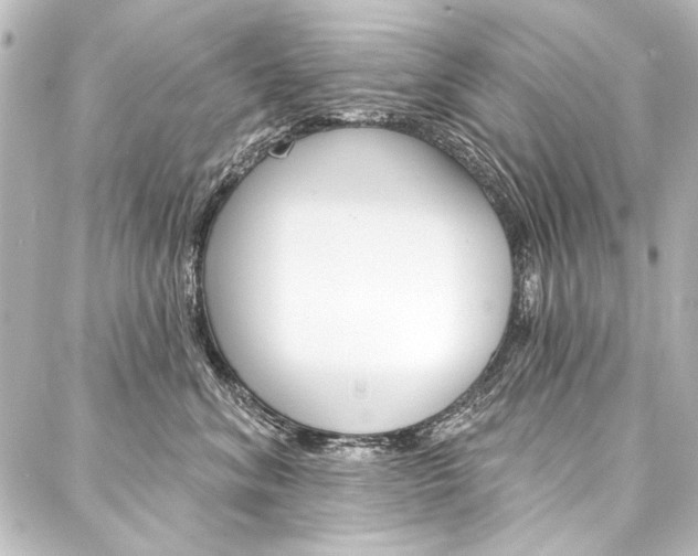 X0000088160620200705150927