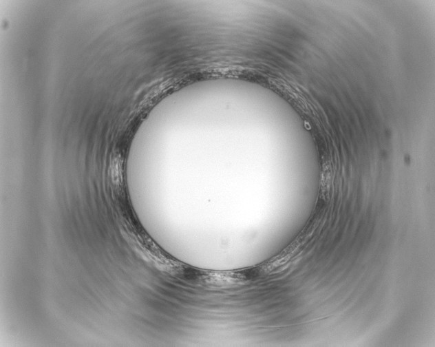 X0000088160623200705150927