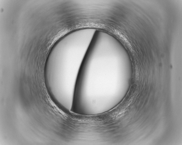 X0000088160625200705150926