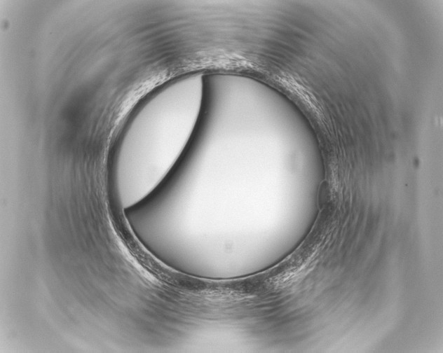 X0000088160630200705150926