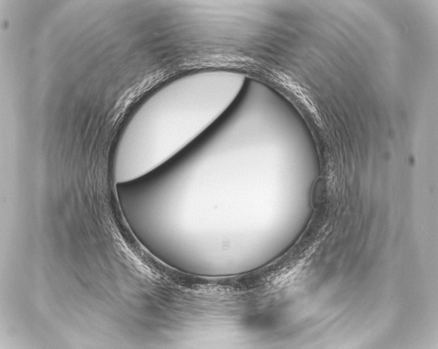 X0000088160633200705150926