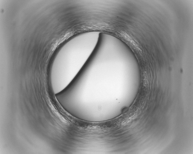 X0000088160634200705150926