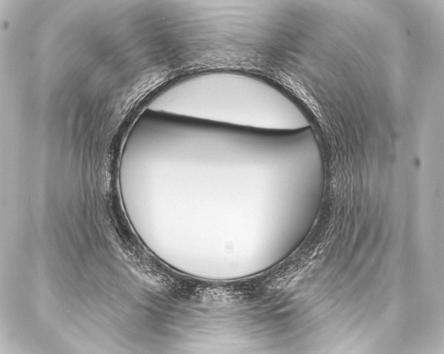 X0000088160635200705150926