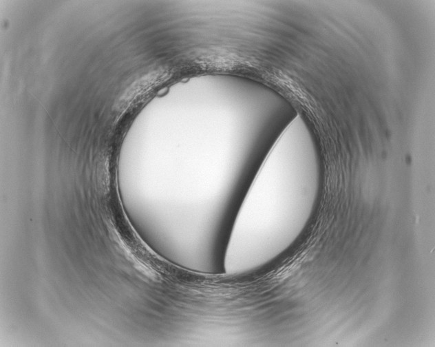 X0000088160638200705150926