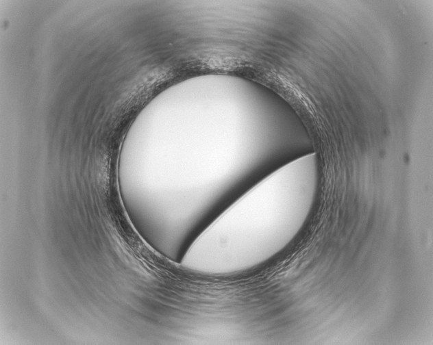 X0000088160639200705150926