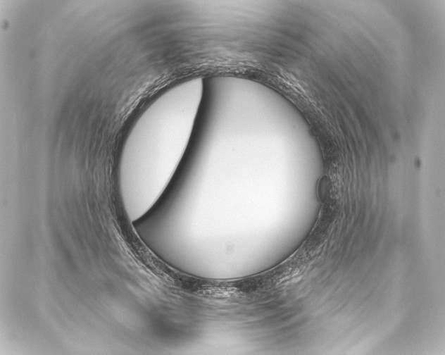 X0000088160642200705150926