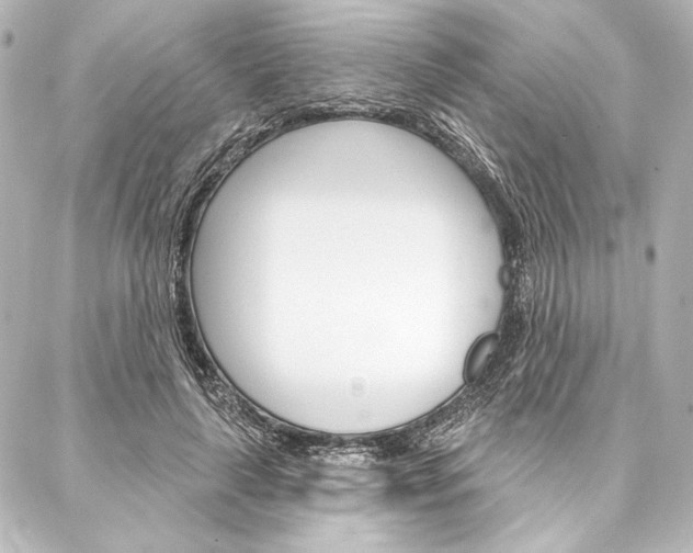 X0000088160643200705150927