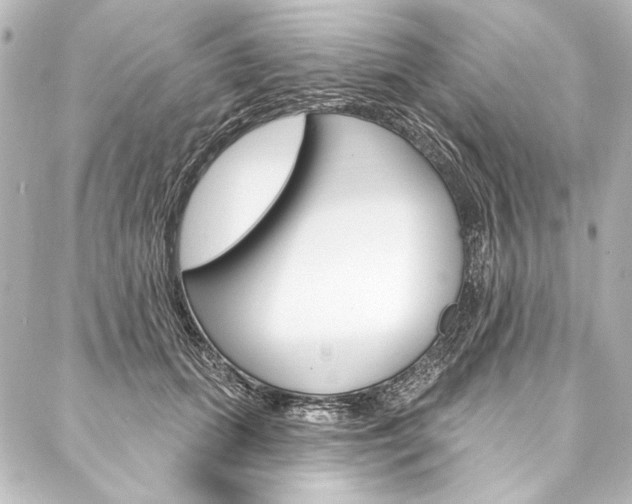 X0000088160655200705150927