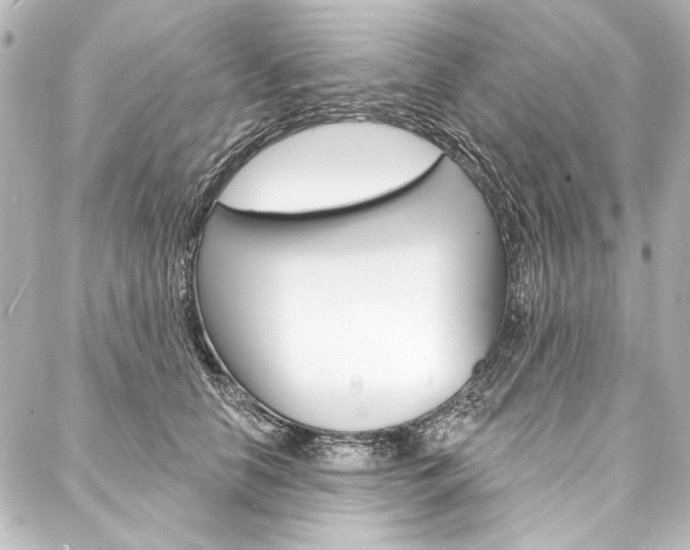 X0000088160658200705150927