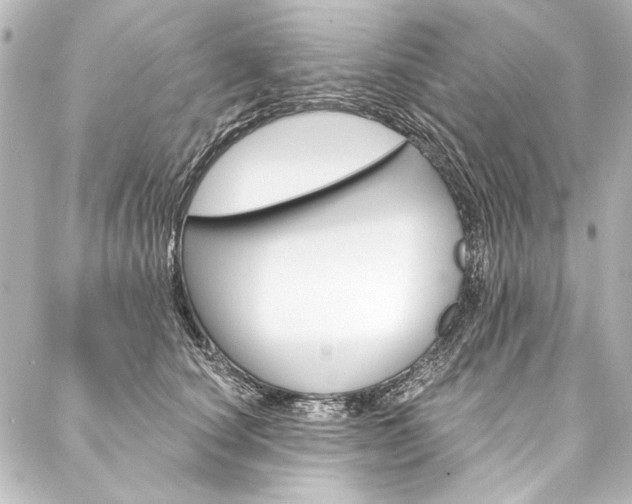 X0000088160660200705150927