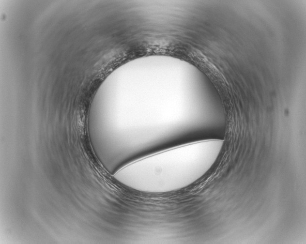 X0000088160661200705150927