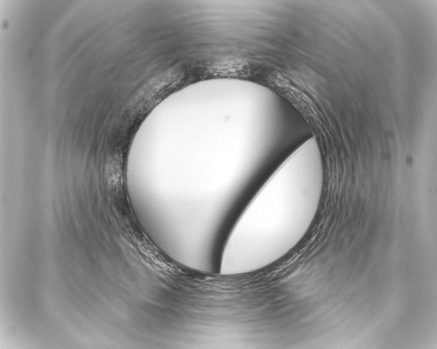 X0000088160665200705150927