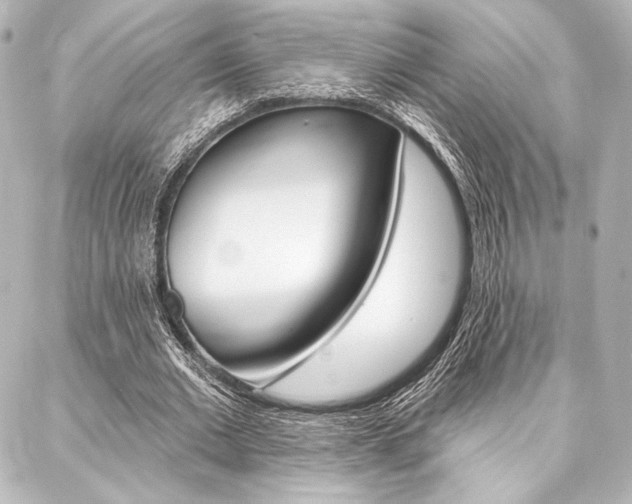 X0000088160677200705150926