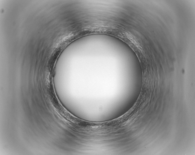 X0000088160692200705150926
