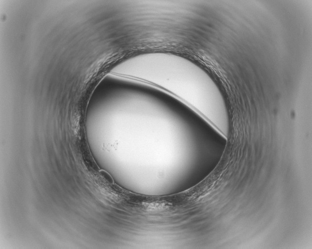 X0000088160693200705150926