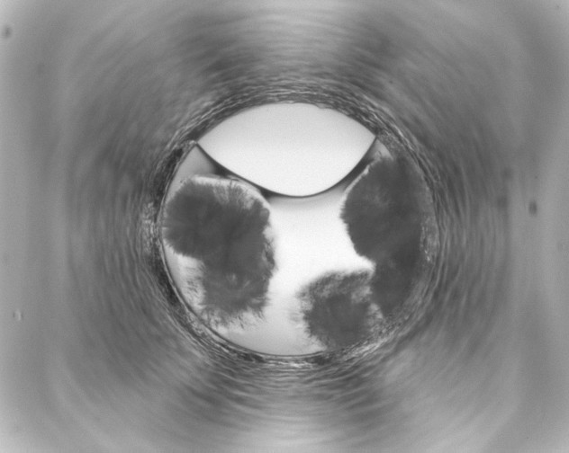 X0000088160707200705150926