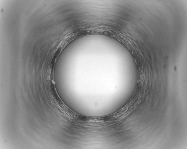X0000088160708200705150926