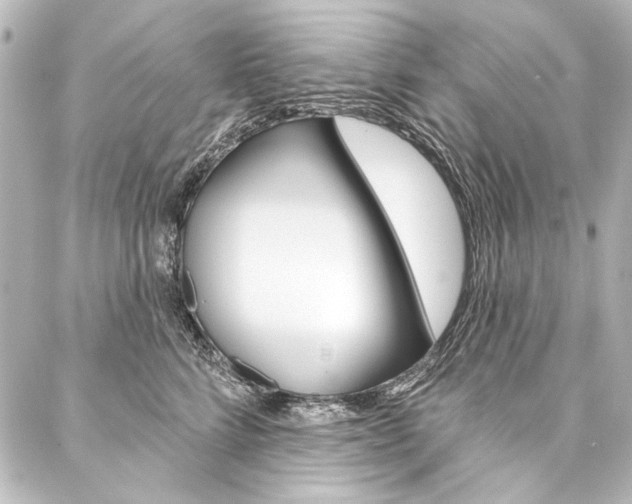 X0000088160712200705150926