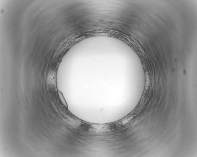 X0000088160713200705150926